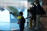収穫